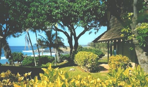 Tropical foilage and trees surround the property.