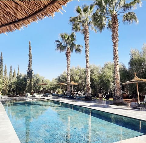 Outdoor pool, open 8:00 AM to 8:00 PM, free cabanas, pool umbrellas