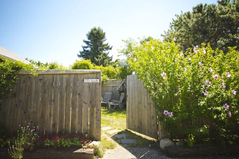 Entrance to the cottage and its private fenced in yard. Rose of sharon in bloom