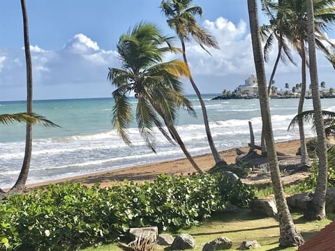 View from the Balcony