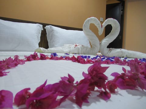 Basic Double Room, Garden View | 6 bedrooms, free WiFi