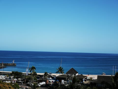 Beach/ocean view