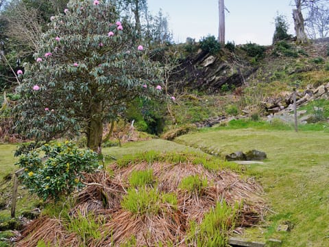 Garden | Crubisdale, Blairmore, nr. Dunoon