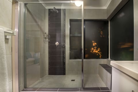 Shower, free toiletries, hair dryer, towels