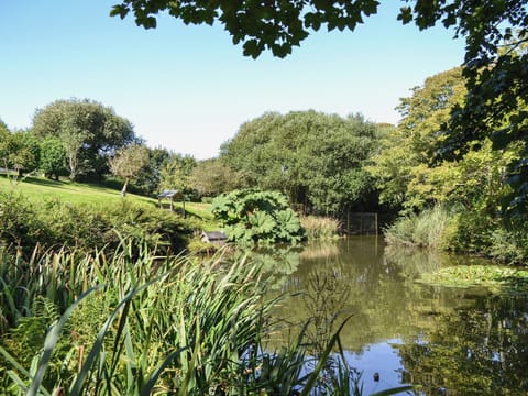 Unfenced pond in the grounds | Chywood Barn, Breage, near Helston