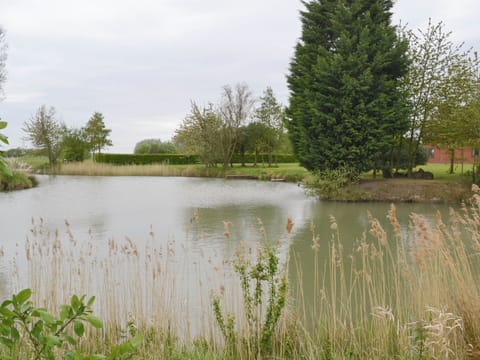 Tranquil fishing lake | Wallrudding Farm Cottage, Doddington, near Lincol