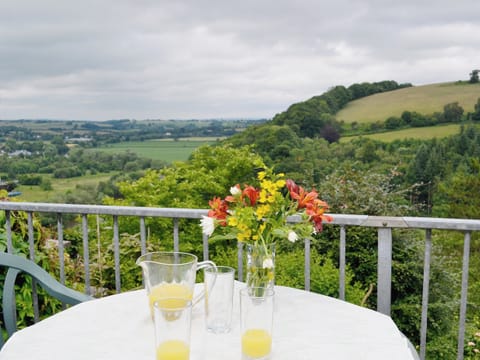 Outdoor eating area | River Wye View Cottage, Symonds Yat, Ross-on-Wye