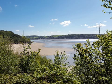 Surrounding area | The Granary - Pendegy Mill, Llanybri, near Carmarthen