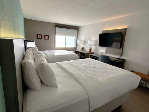 Standard Room, 2 Queen Beds, Non Smoking | Egyptian cotton sheets, premium bedding, down comforters, pillowtop beds