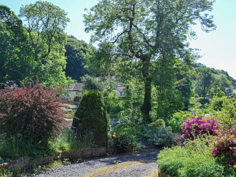 Secluded and peaceful cottage close the the Galloway Forest Park | Riverside, Newton Stewart