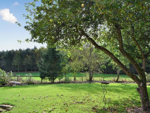 Views | Broomhouse Lodge, Edrom, near Duns