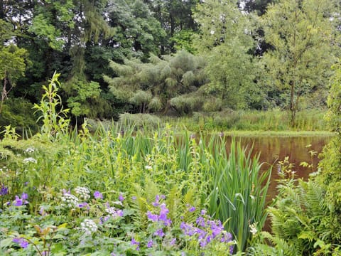 Peaceful surrounding countryside | Langcliffe Lock Cottage, Langcliffe, near Settle
