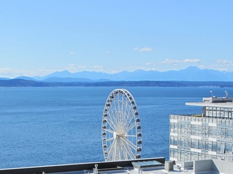 Water view - Olympic Mts in background