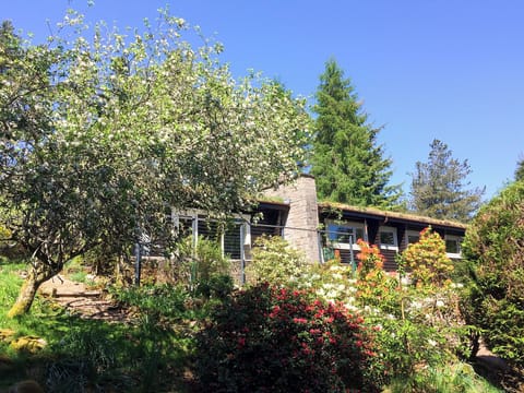 Lovely detached log cabin | Glen Hideaway, Kirkmichael, near Pitlochry