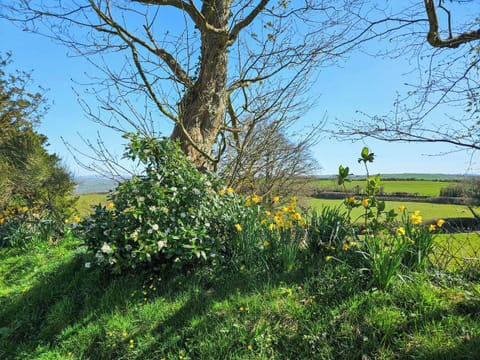 Surrounding area | Bwlch Y Person Barns -Cartws - Bwlch Y Person Barns, Dihewyd, near Aberaeron