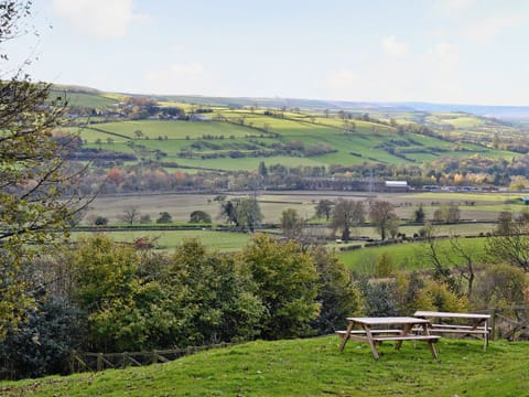 View | Bowlees Holiday Cottages - Raby Cottage, Wolsingham