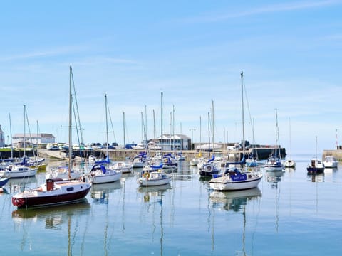 Aberaeron Harbour | Ceredigion/Cardigan Bay, Wales