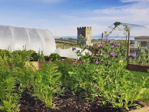 Garden and grounds | Old Barn Farmhouse - Old Barn Farm, Uplawmoor, near Paisley