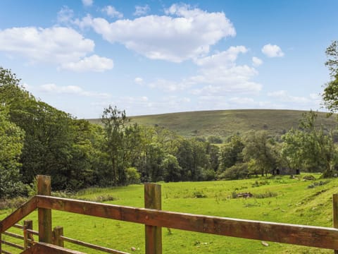 View | Llandremor Fawr Cottage - Llandremor Fawr Holidays, Pontarddulais