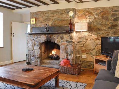 Living room with open fire | Old Tan Rhiw, Beddgelert