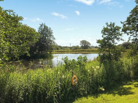 Garden and grounds | Kite Cottage - Maesydderwen Holiday Cottages, Llandeilo