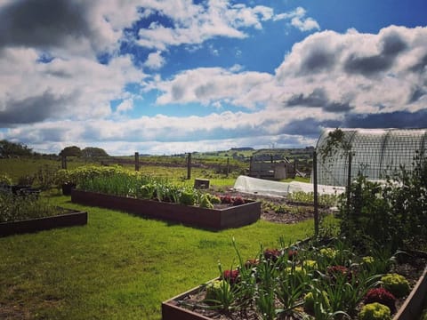 Garden and grounds | Old Barn Farm Cottage - Old Barn Farm, Uplawmoor, near Paisley