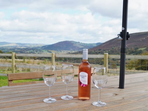 Sitting-out-area | Gorsddu, near Llanwrthwl, Powys