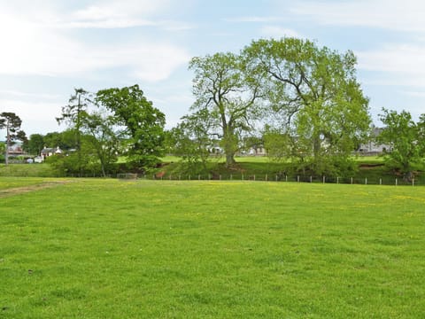 Pleasant outlook over fields towards the village | Digger&rsquo;s Cottage, Near Lauder