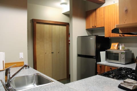 Apartment (Great Location in Waterfront Building) | Private kitchen | Fridge, microwave, oven, stovetop