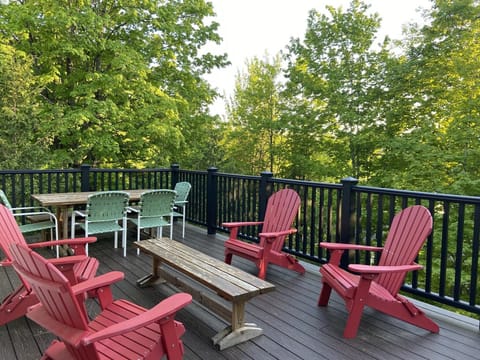 New Trex Deck off main floor 
