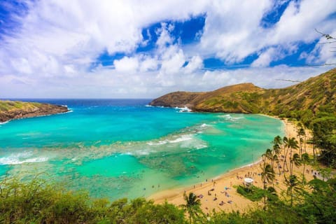 Here's the world famous Hanauma Bay just 2 miles away over the ridge.