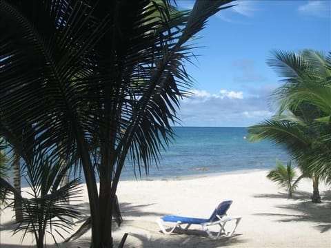 3 steps off the veranda, your toes are in the sand!