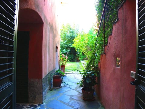 View from the Sitting Room into the Garden.  Summer shower to the left. 