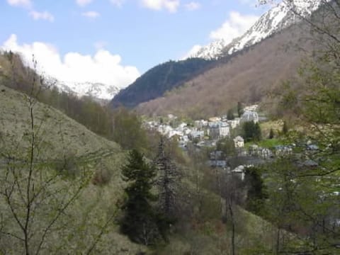 Overview