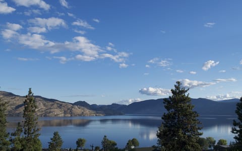 View from your suite at Lake House