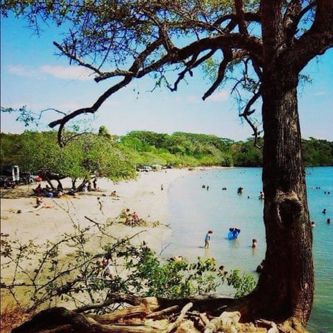 Beach