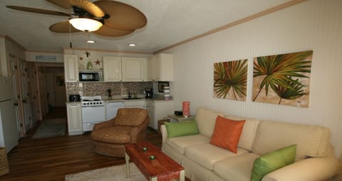 Living Room & Kitchen