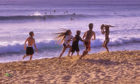 Del Mar's Great Beaches!