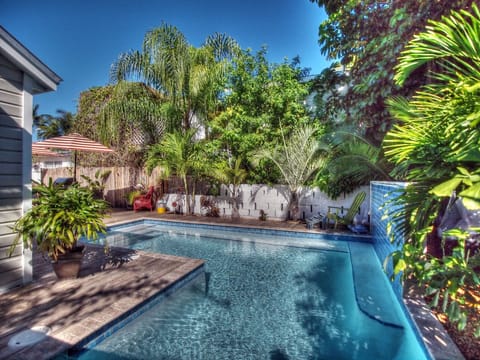 Lush backyard area