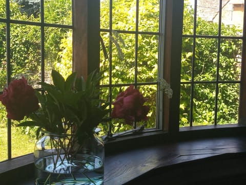 Peonies from the garden in Summer