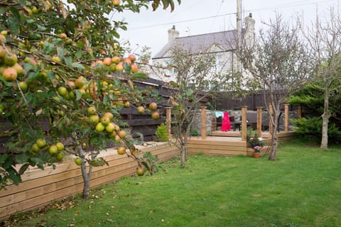 Rhonwil - Rear garden