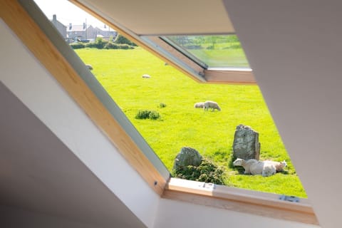 Bwthyn Siwan view from skylight