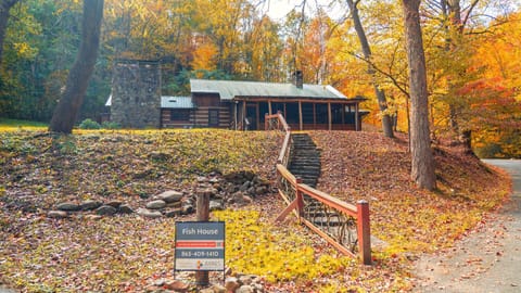 Staircase down to creek