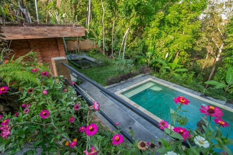 Deluxe Double Room | 1 bedroom, down comforters, pillowtop beds, individually decorated