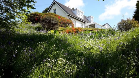 Looking up to the cottage from the huge garden.  Bluebells nearly out!