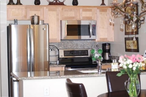 Granite- Stainless Kitchen - Redesigning your standard of play!