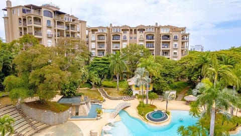 Complex Matapalos view