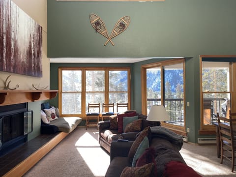 TV and games for fun, plus a gas fireplace