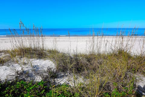 Beach in front of condo