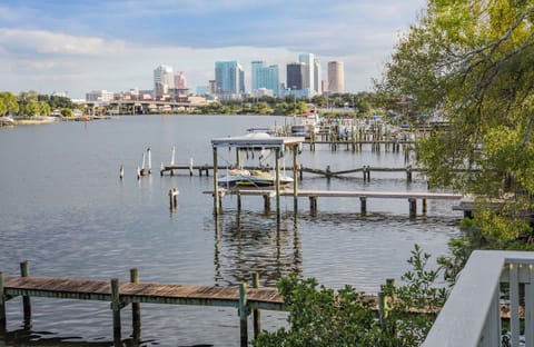 View of downtown Tampa from balcony